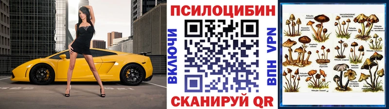 darknet состав МЕГА ссылки Тарко-Сале наркошоп Галлюциногенные грибы мицелий